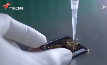 大宝娱乐-LG游戏|PT游戏|CQ9游戏