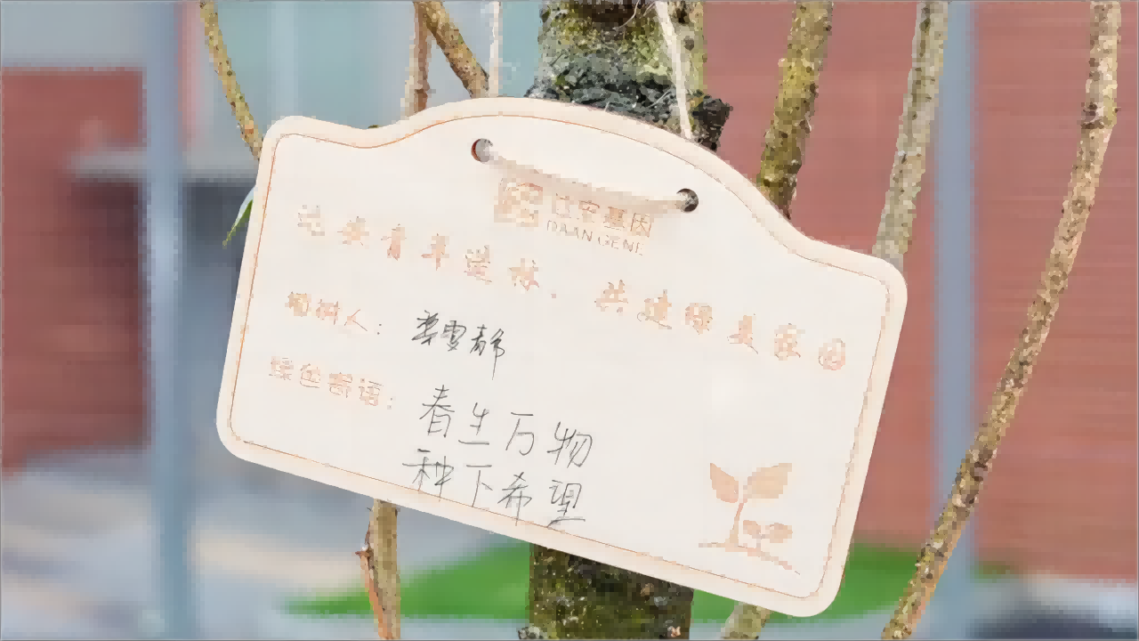 大宝娱乐-LG游戏|PT游戏|CQ9游戏
