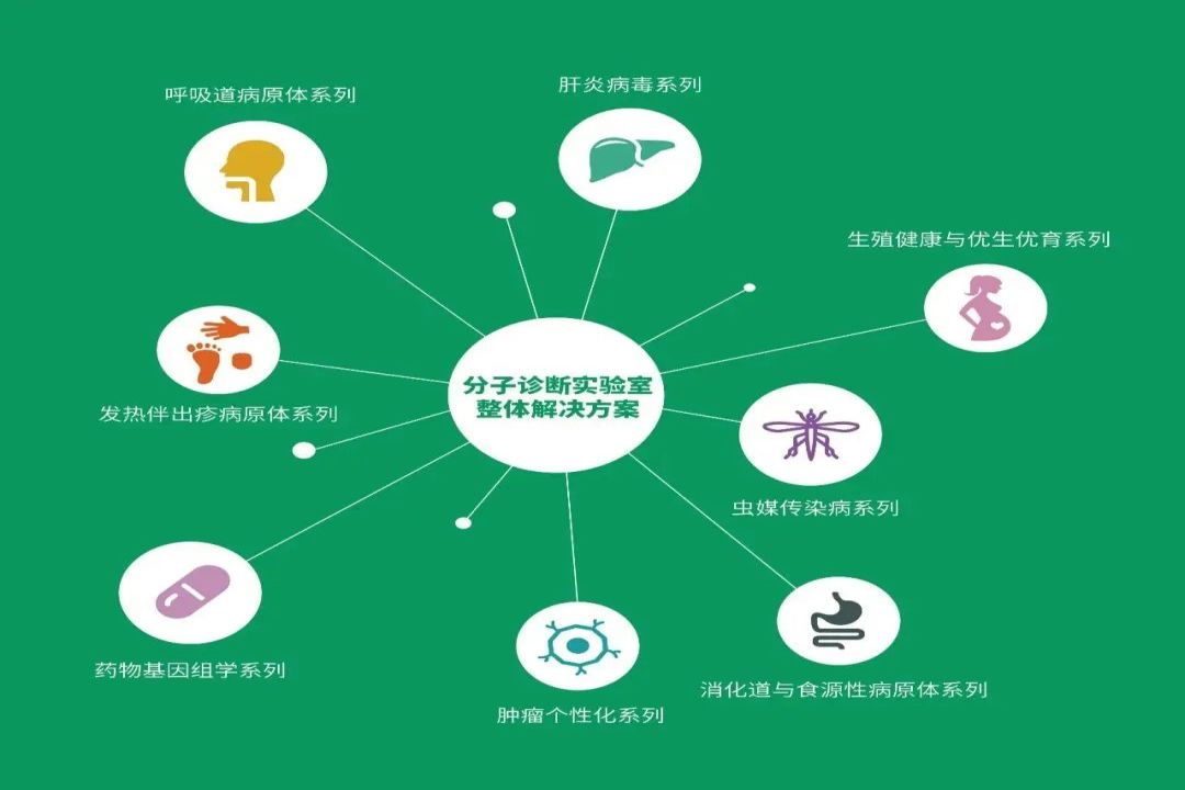 大宝娱乐-LG游戏|PT游戏|CQ9游戏