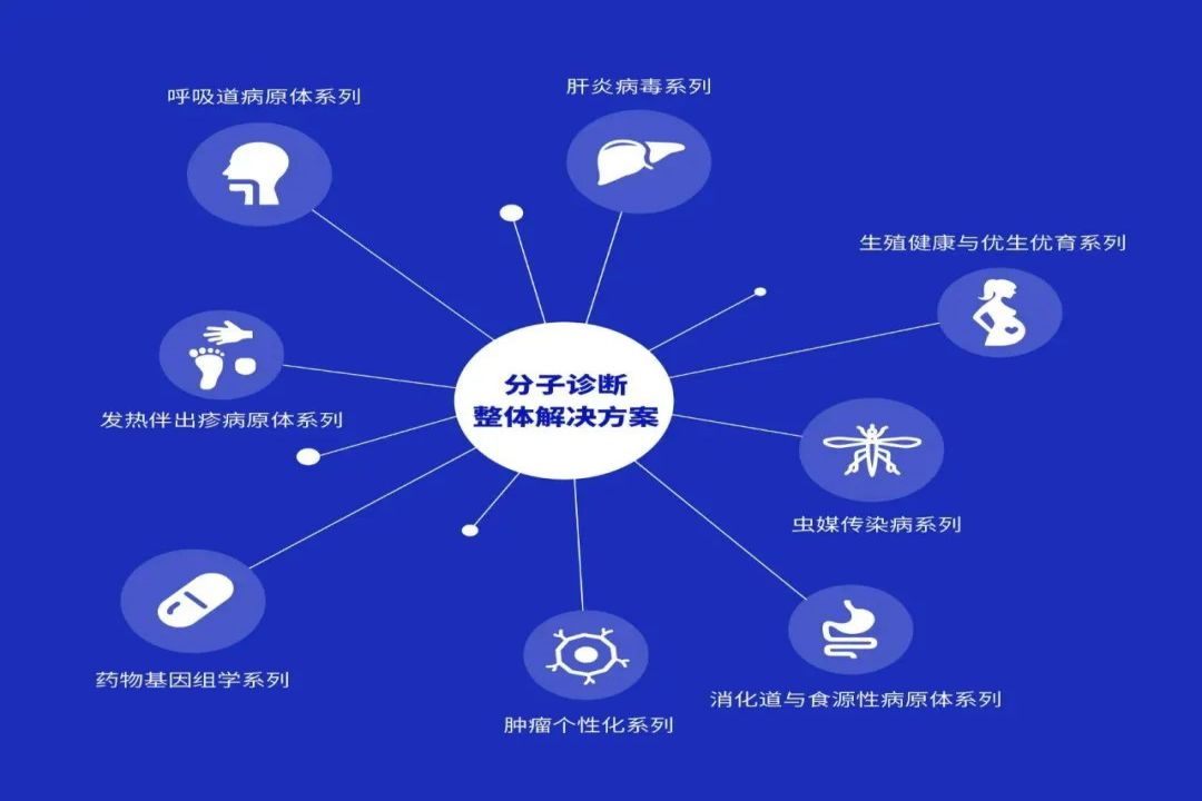 大宝娱乐-LG游戏|PT游戏|CQ9游戏