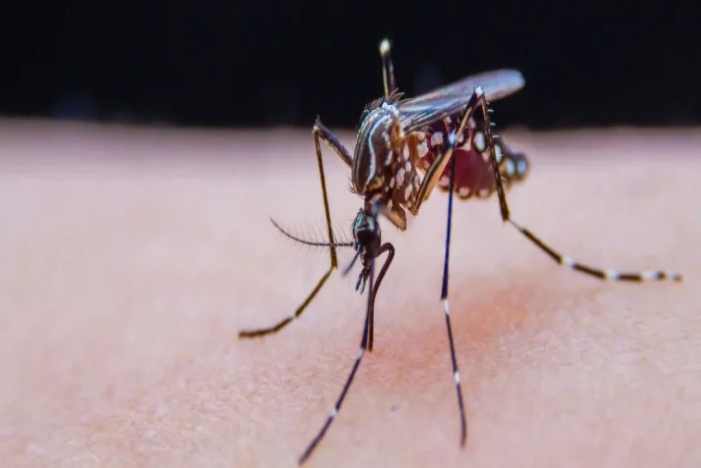 大宝娱乐-LG游戏|PT游戏|CQ9游戏